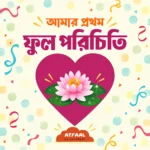 আমার প্রথম ফুল পরিচিতি